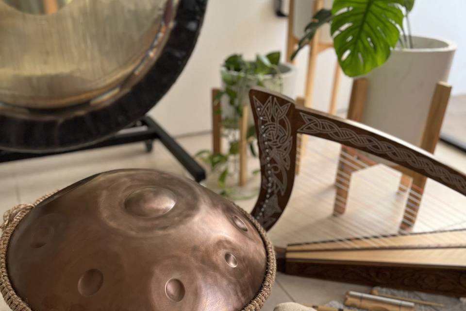 Nuestros instrumentos
