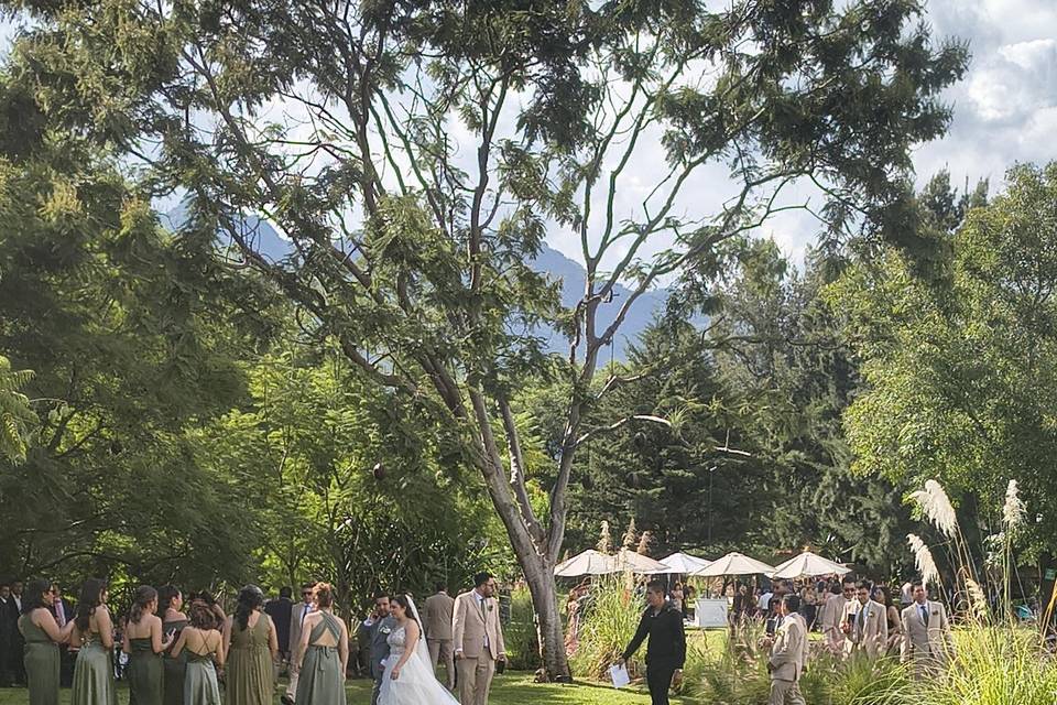 Wedding Planner