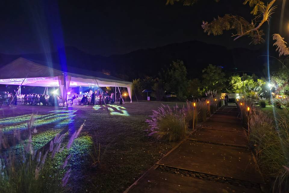 Carpa