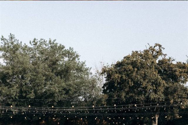 Boda toscana petitte