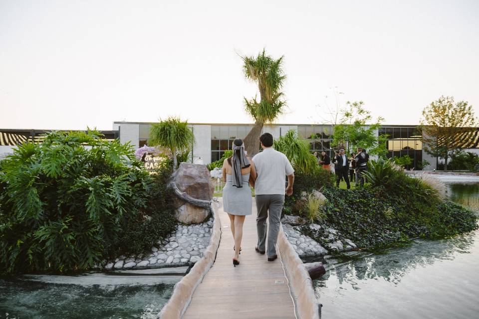 Pedida de matrimonio y salón