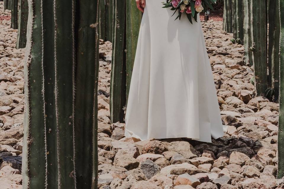 Bodas en Finca Puerta del Lobo