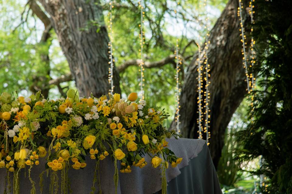 Bodas en Finca Puerta del Lobo