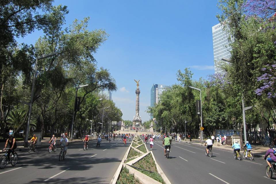 Reforma - ciudad de méxico