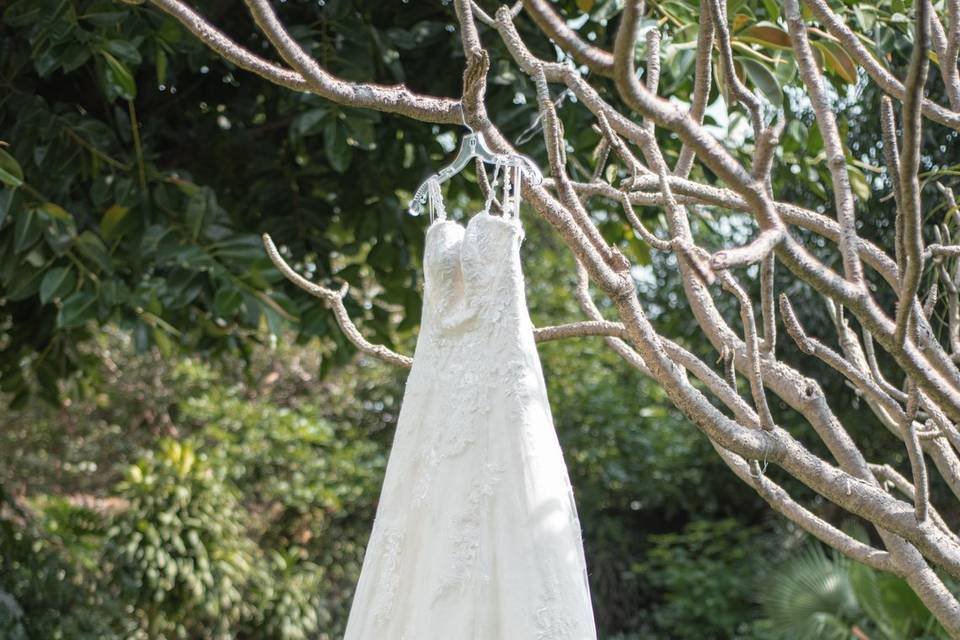 Evaz Bodas