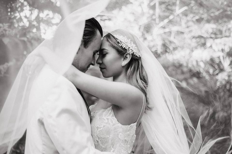 Evaz Bodas