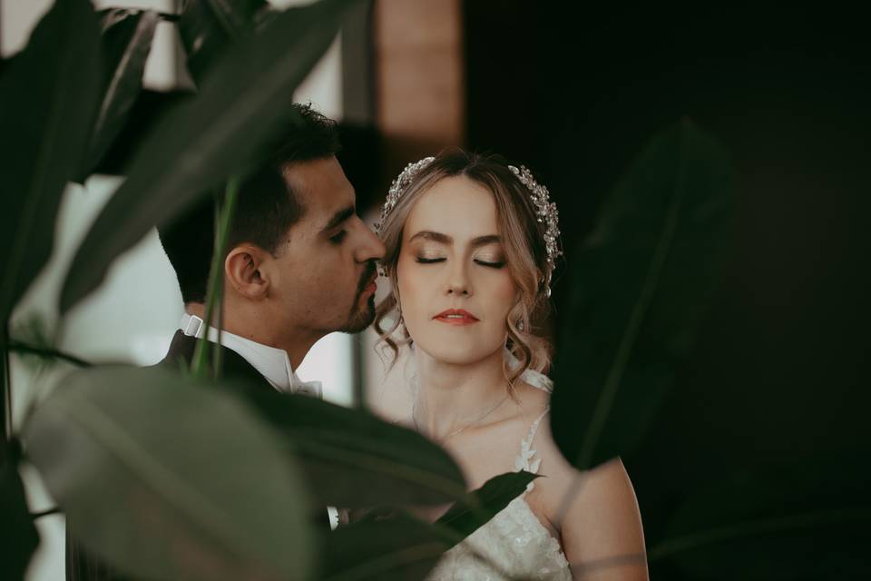 Sesión formal