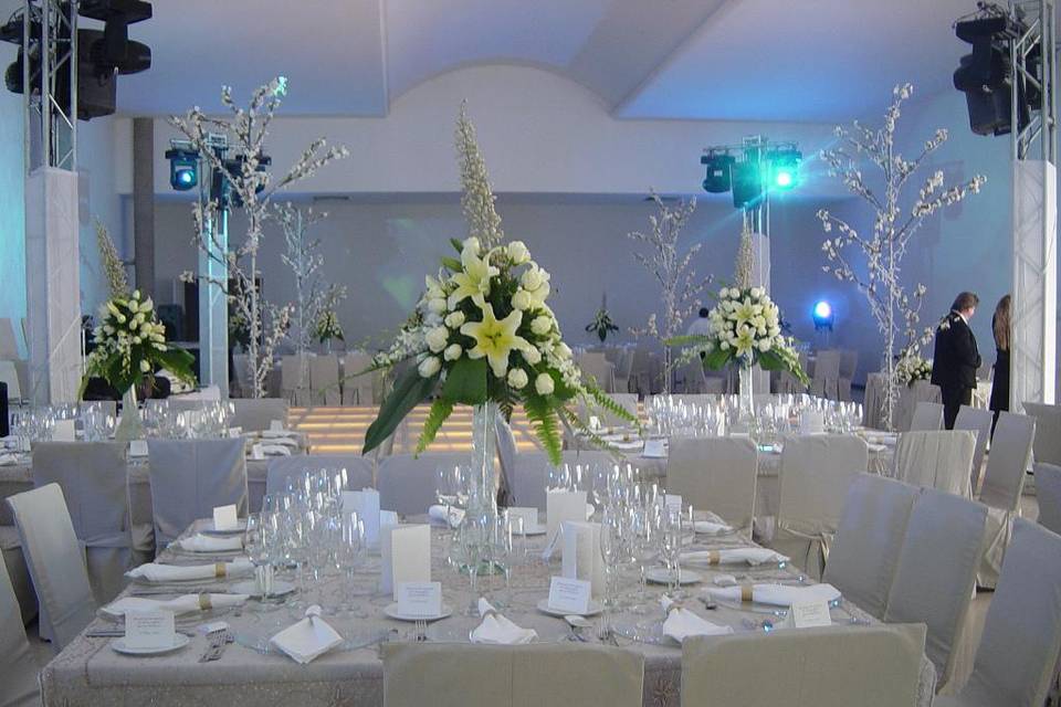 Mayavi Eventos