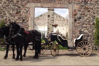 Carruajes Los Percherones