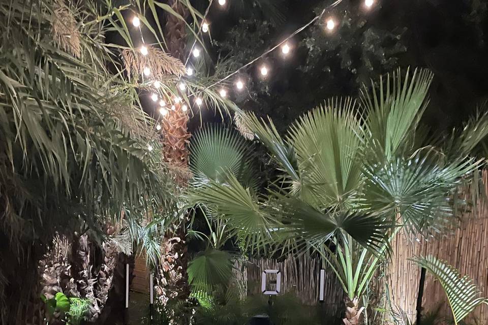 Montaje Chimbica SJC