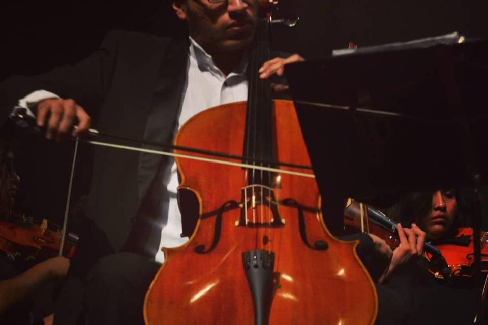 Cellista Luis