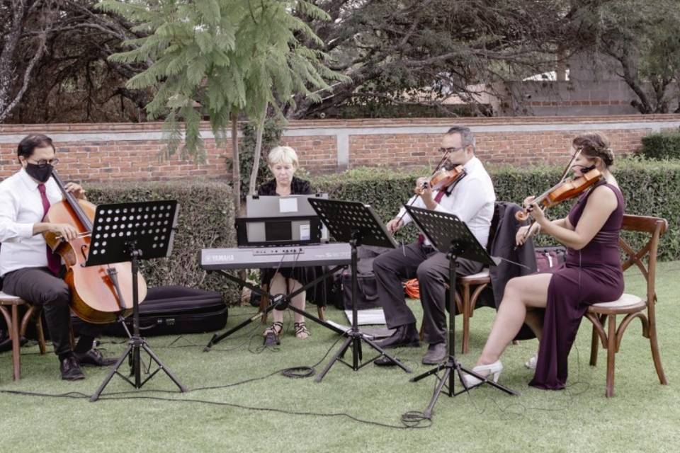 Ensamble Vernisazh