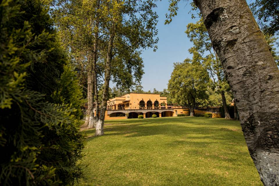 Jardin