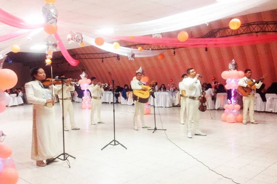 Ameniza bodas y eventos