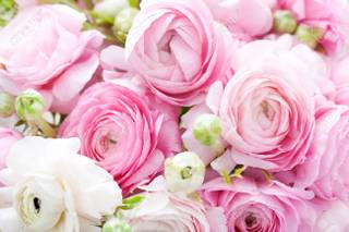 Fleurs Aquarelle