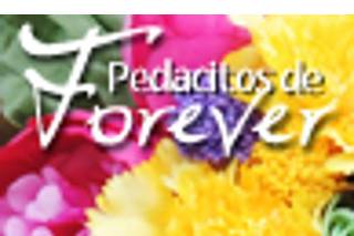 Pedacitos de Forever