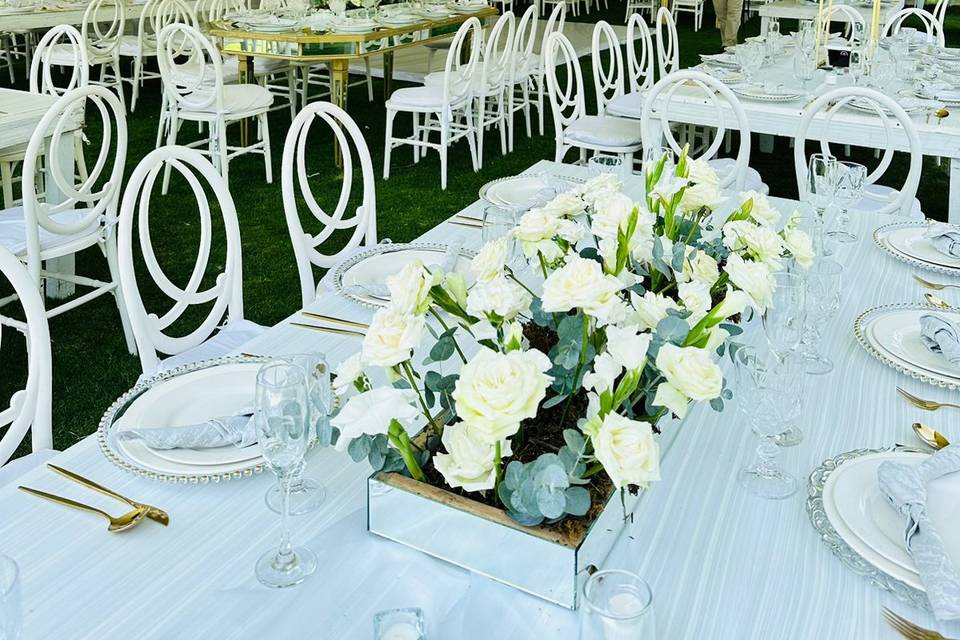 Silla phoenix blanca