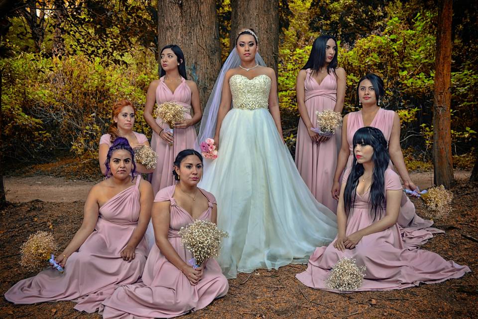 La novia y sus damas de honor