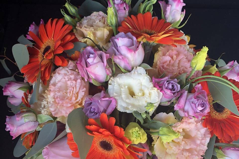 Gerberas