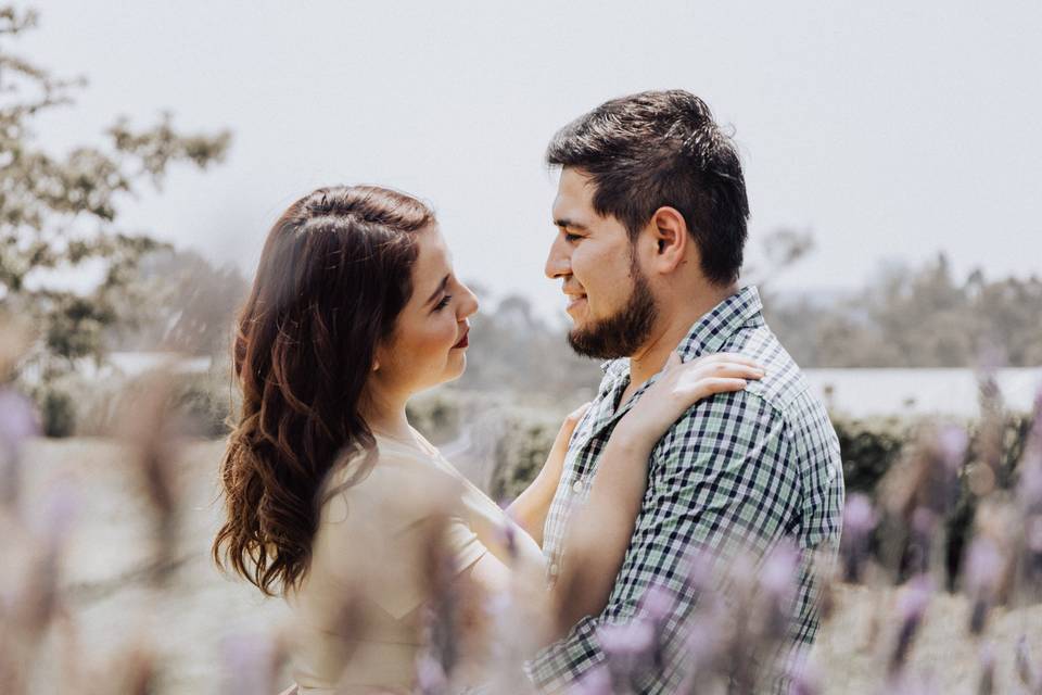 Preboda, CDMX, P