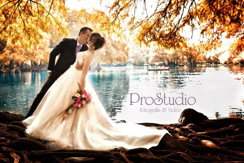 ProStudio