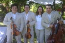 Grupo Mozart