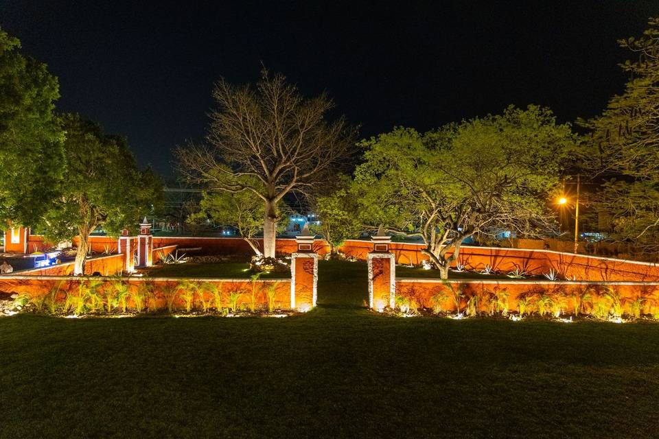 Jardín flanboyan y ceiba noche