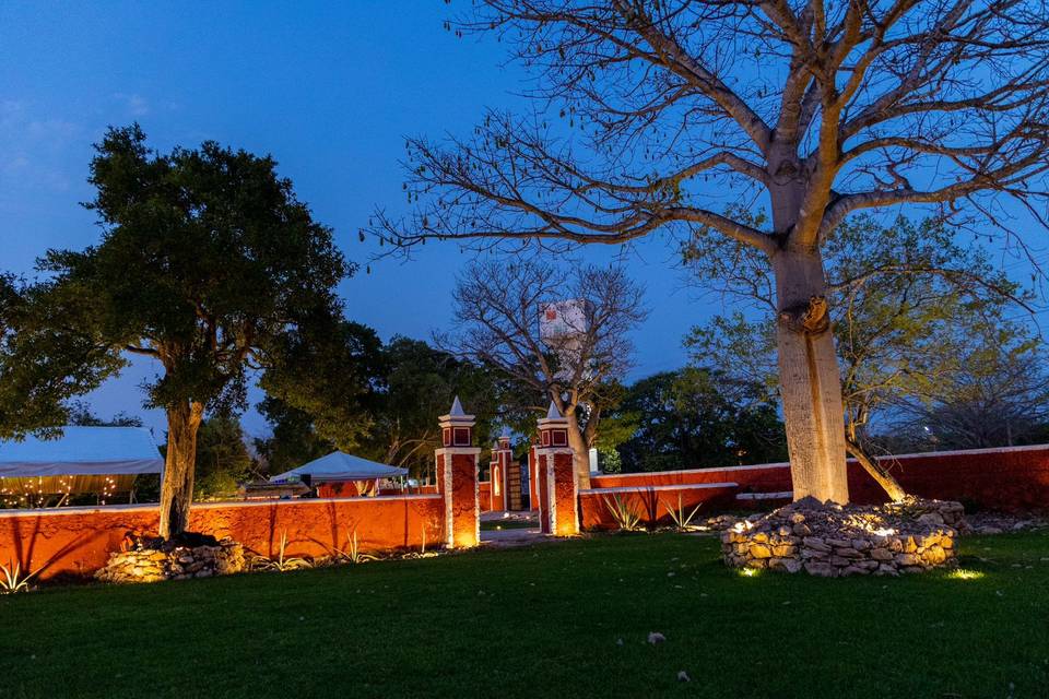 Jardín Ceiba Noche