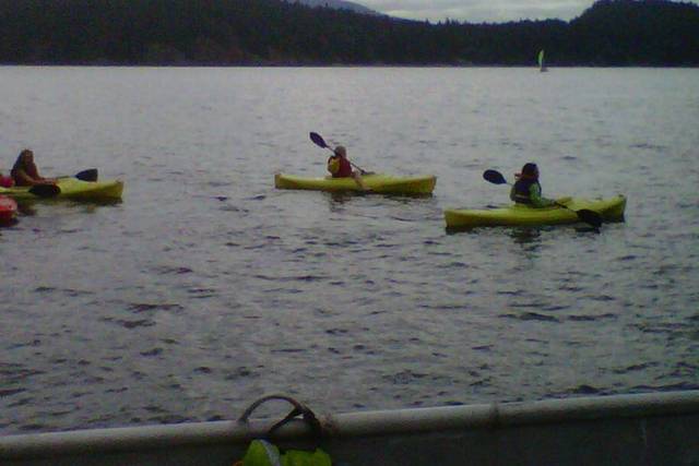 Perfecto para ustedes