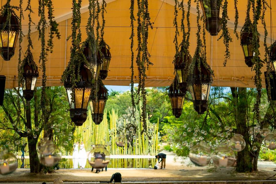 Jardín etnobotanico Oaxaca