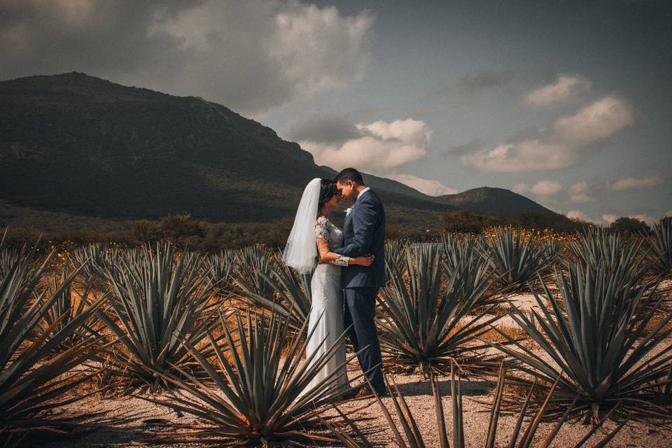 Fotografía y video para bodas