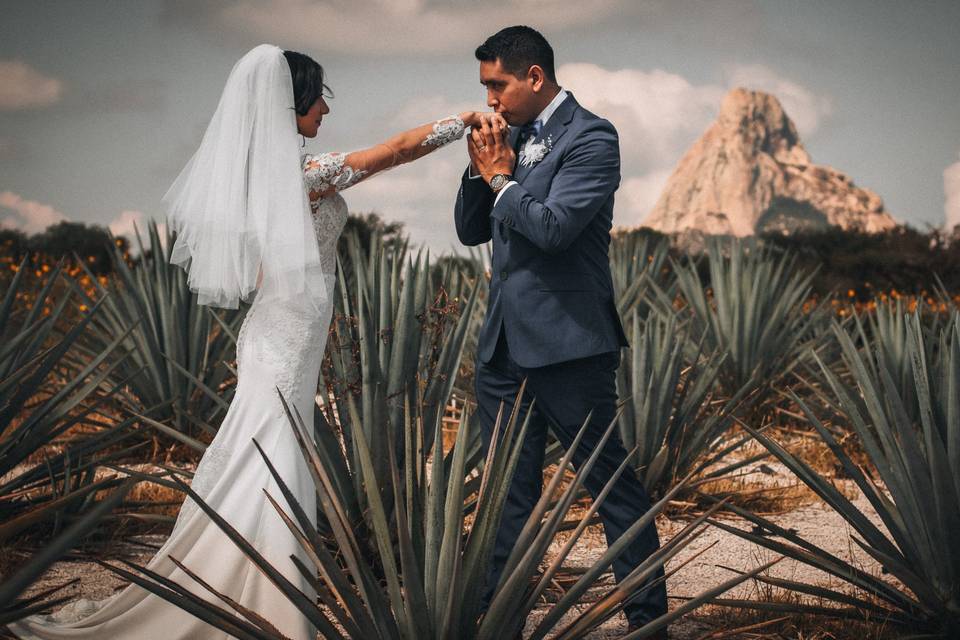 Fotografía y video para bodas