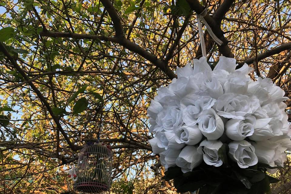 Decoración jardin
