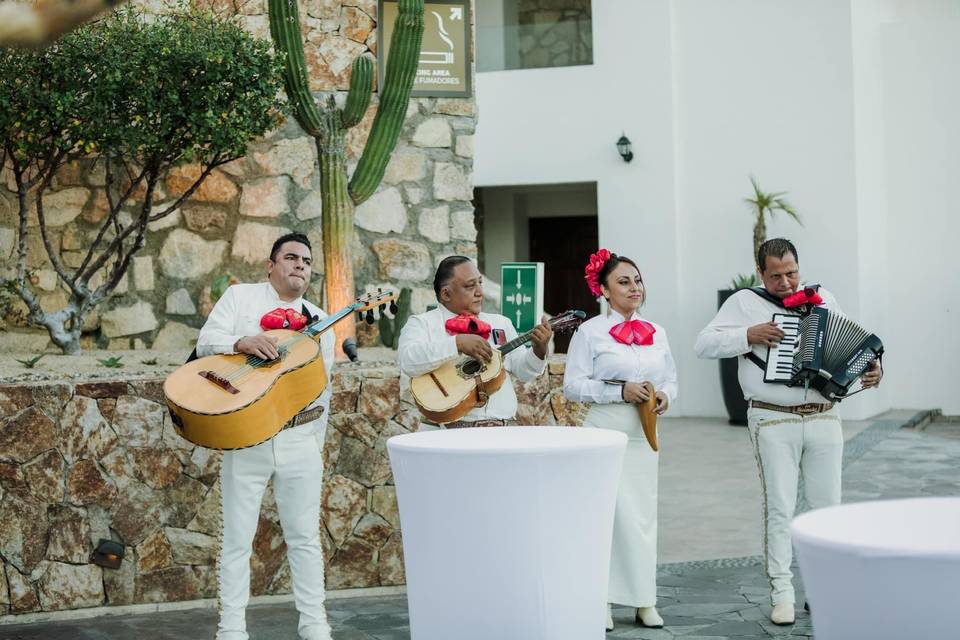 Stand By Me Cabo