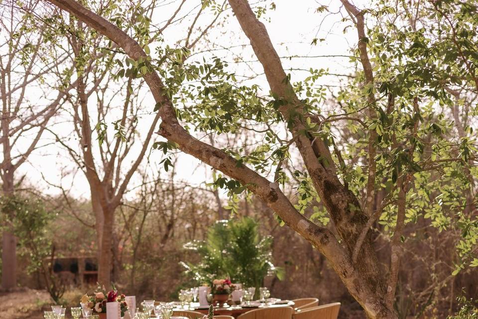 Boda - R&G