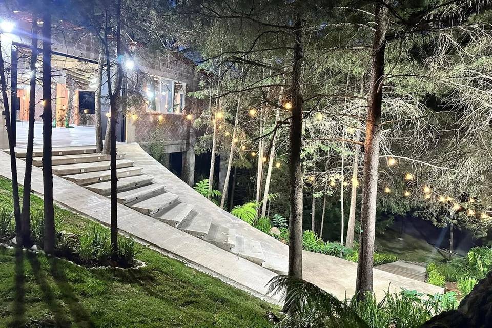Camino rodeado de árboles