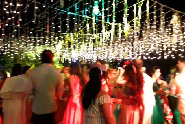 Bodas