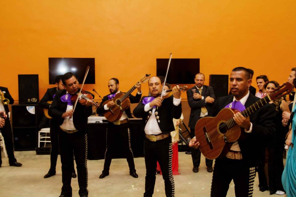 Mariachis