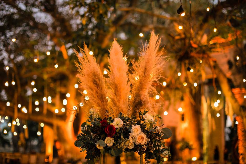 Bodas en Merida Yucatan