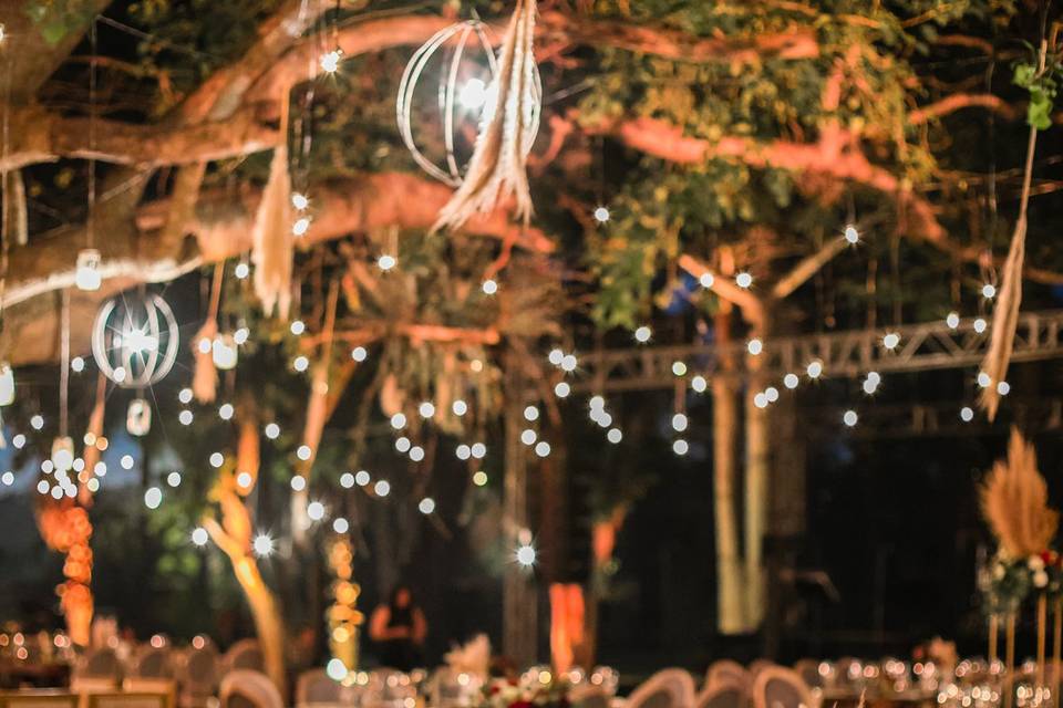 Bodas en Merida Yucatan