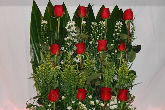 Florería Tulipán