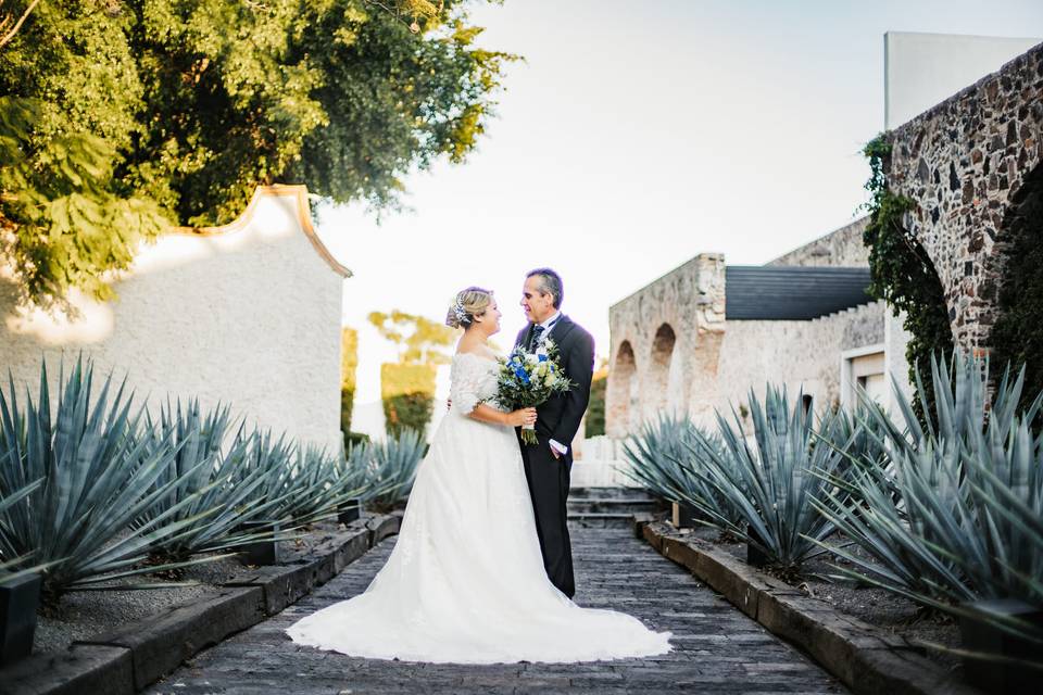 Bodas