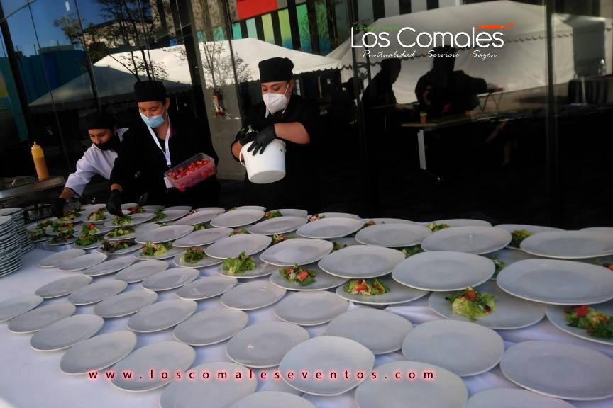 Imagen13