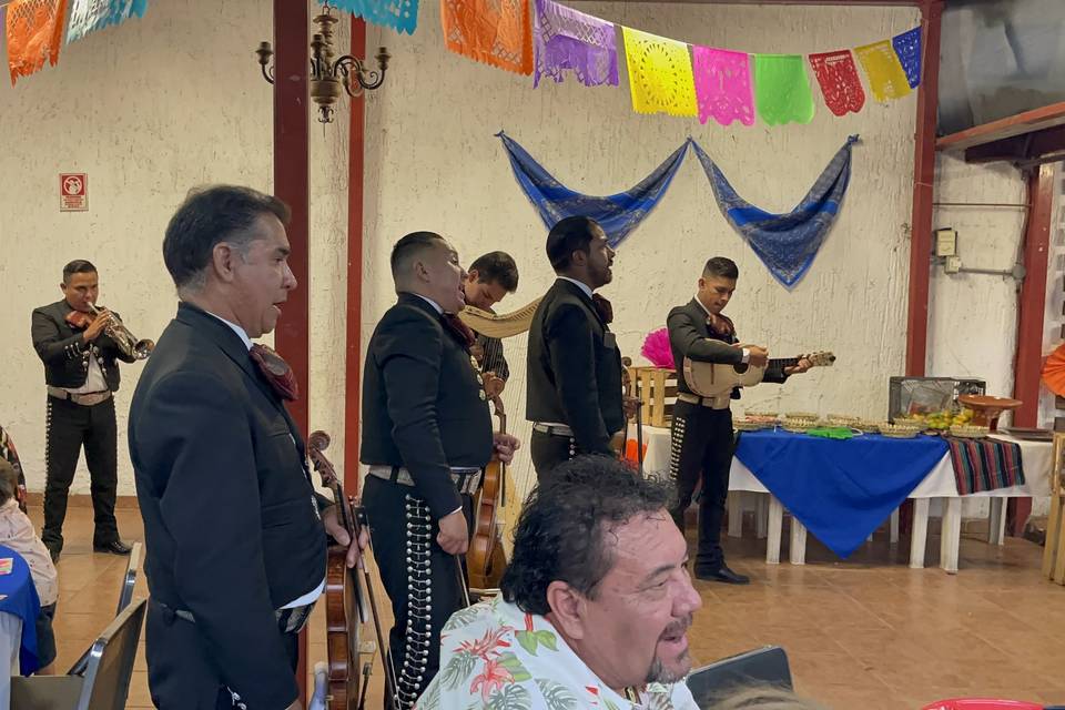 Seguimos laborando