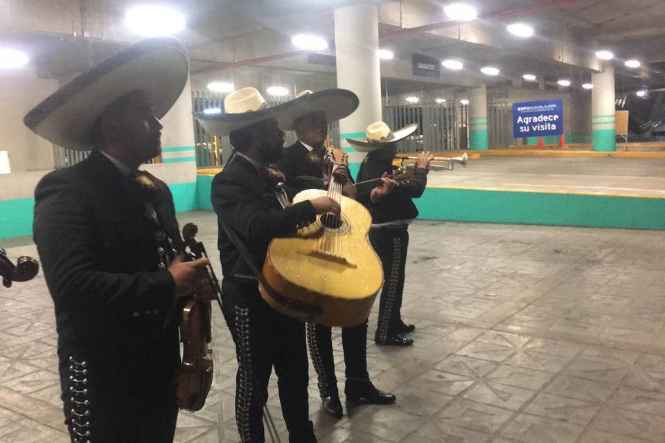 Listos para tocar
