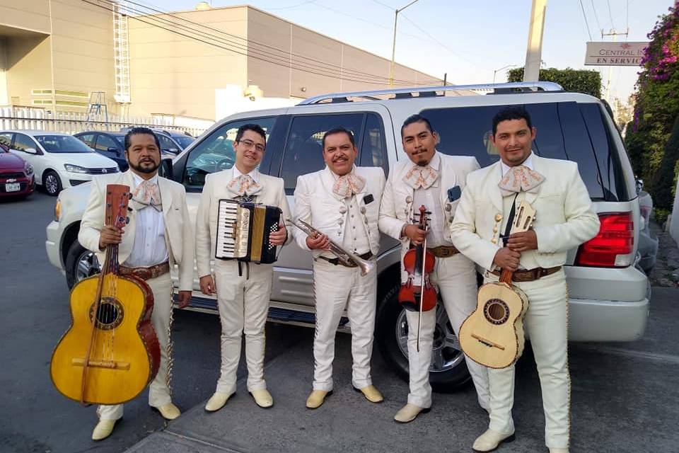 Mariachi Titanium