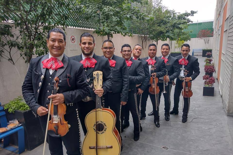 Mariachi Titanium