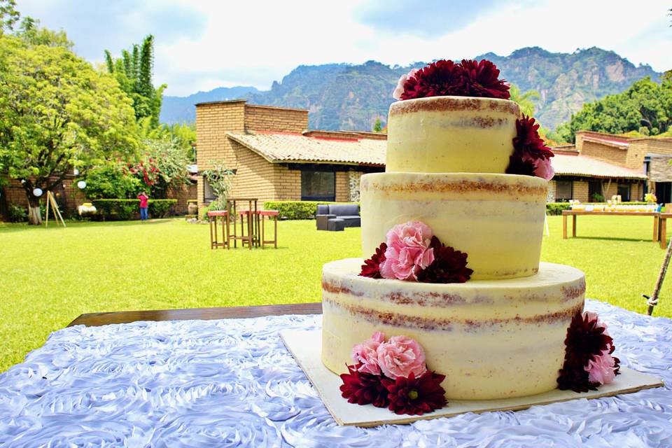 Naked cake ixcatepec tepoztlán