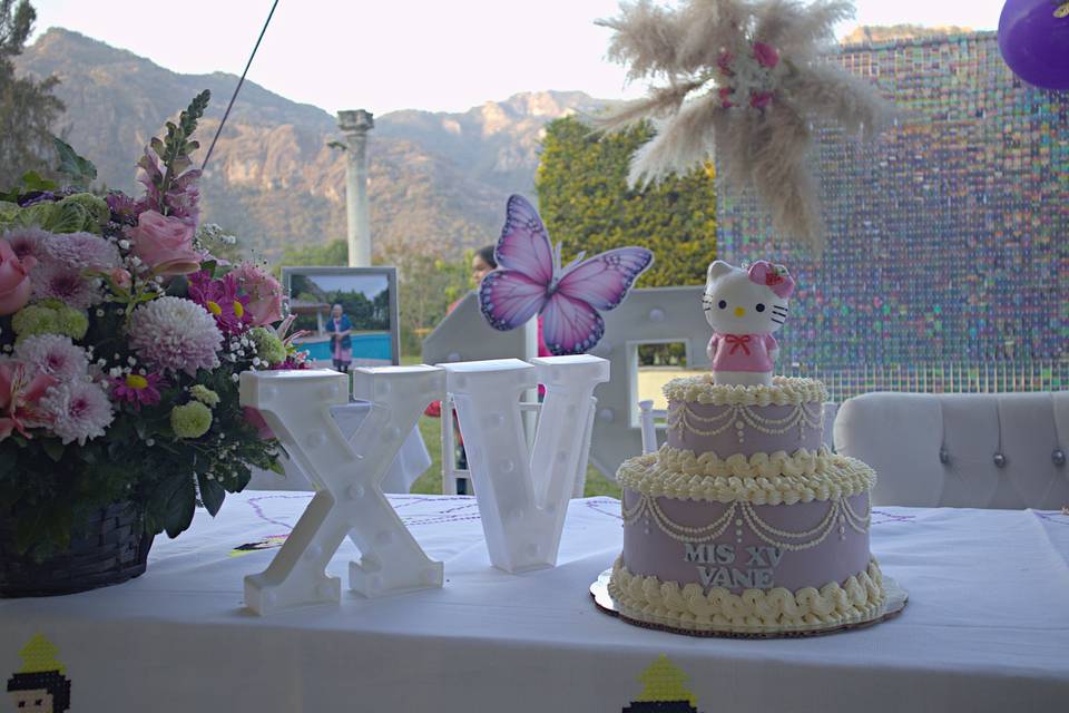 Vintage cake 15 años