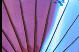 Fotografía creativa